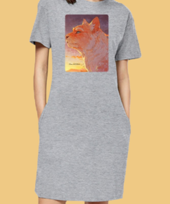 women t-shirt dress-Photoroom